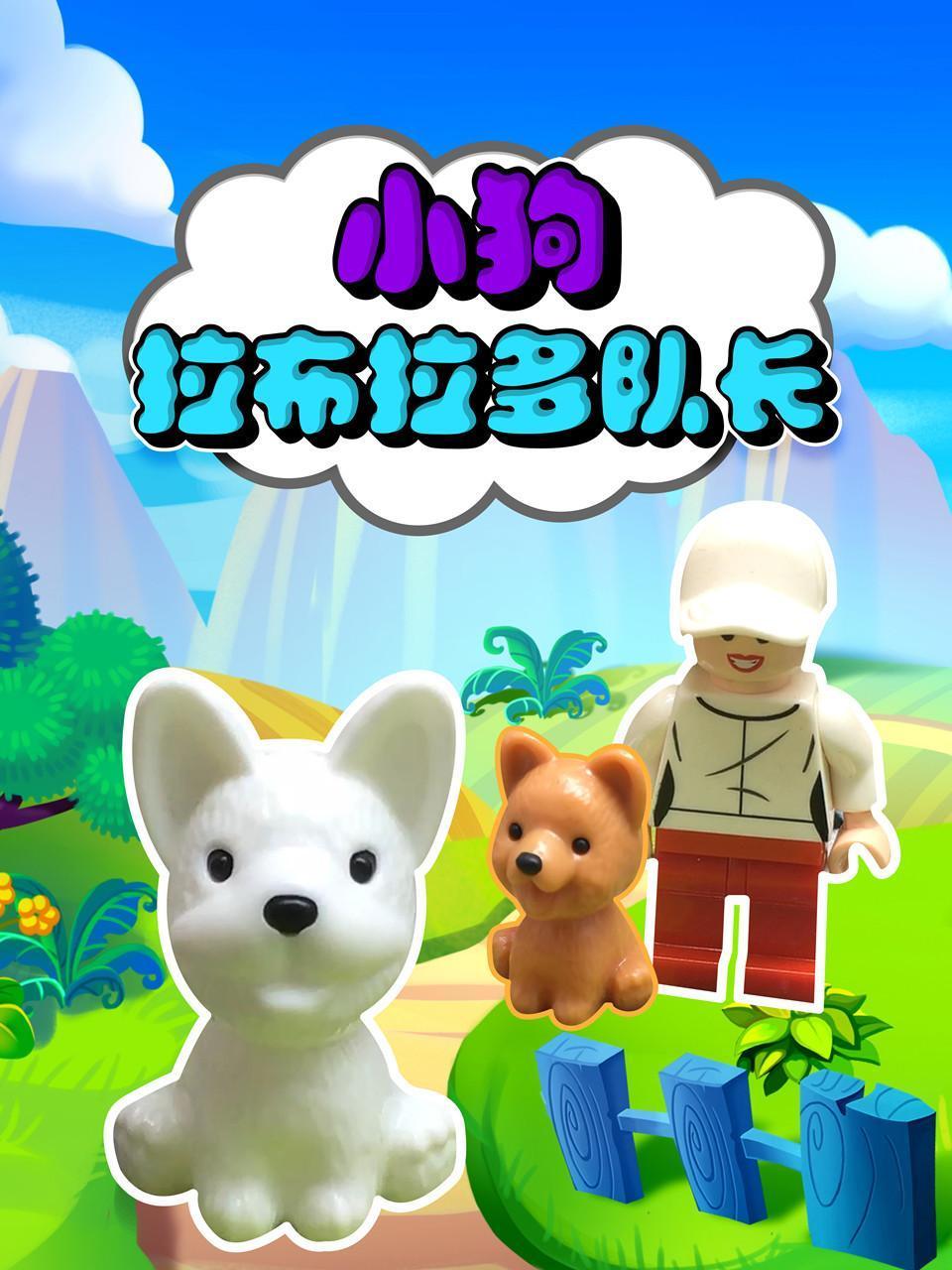 小狗拉布拉多队长