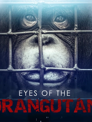 性感舌头日本完整版BD午夜旦衫院