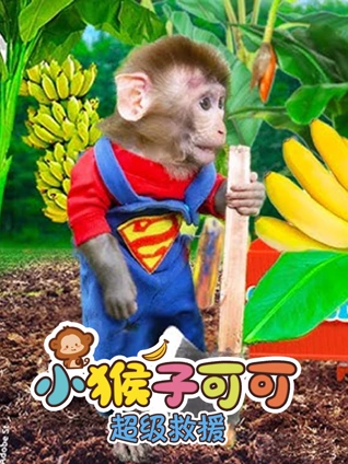 小猴子可可超级救援