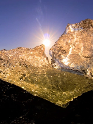 小猴子多多的日常生活