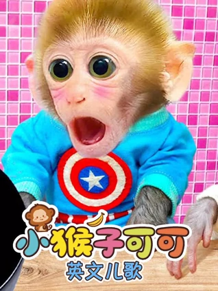 小猴子可可英语版儿歌