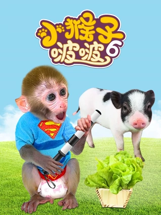 小猴子啵啵  6