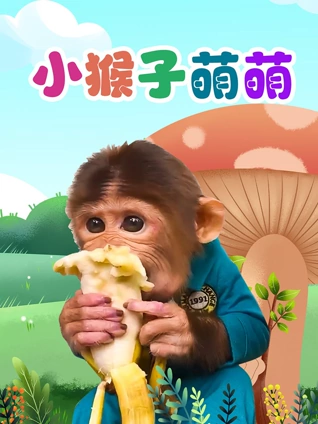 小猴子萌萌