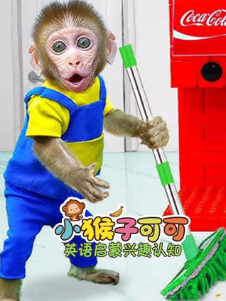 小猴子可可英语版启蒙兴趣认知