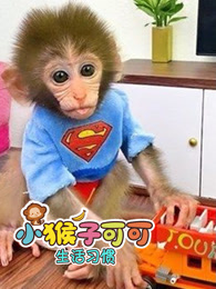 小猴子可可生活习惯